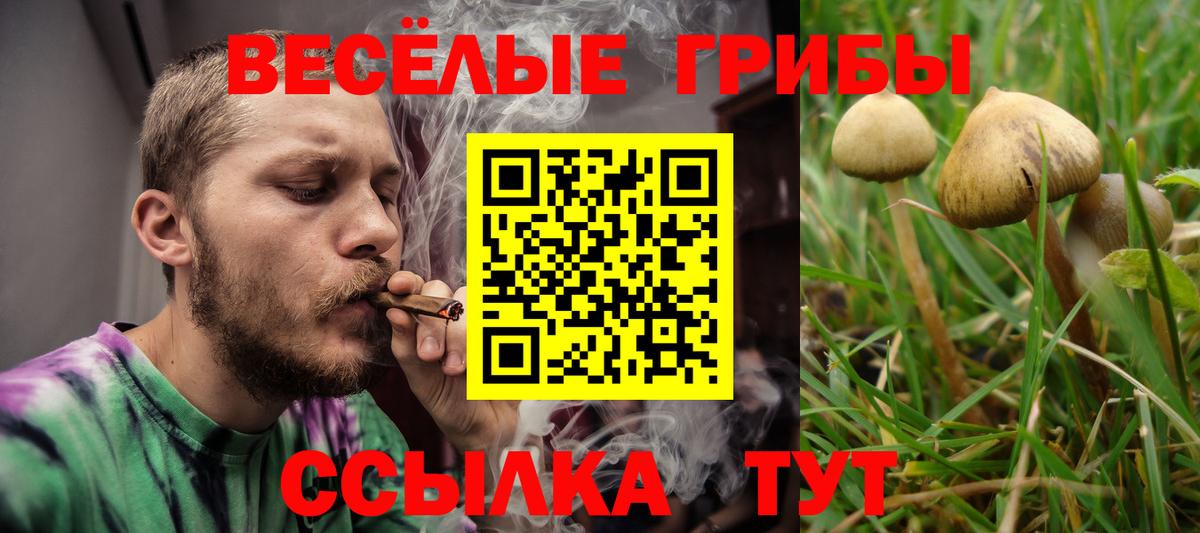 Елабуга  Галлюциногенные грибы GOLDEN TEACHER  купить  цена  Вход с VPN 