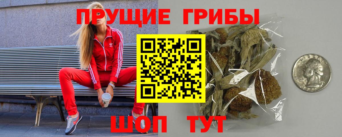 Псилоцибиновые грибы Psilocybine cubensis Елабуга